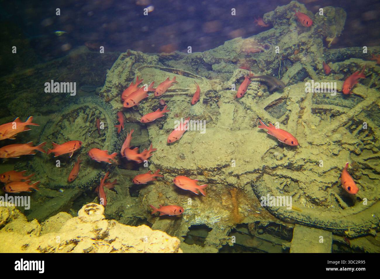Ship wreck SS Thistlegorm inside, Red Sea Egypt Stock Photo - Alamy