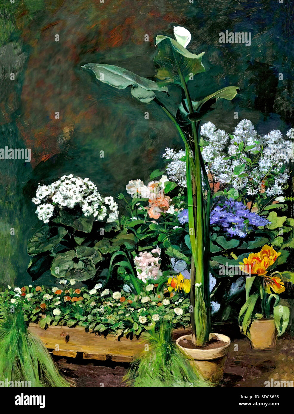 Pierre-Auguste Renoir, Lily and Greenhouse Plants (Arum et plantes de  serre), 1864, oil on canvas, early Impressionist floral interior study  Stock Vector Image & Art - Alamy