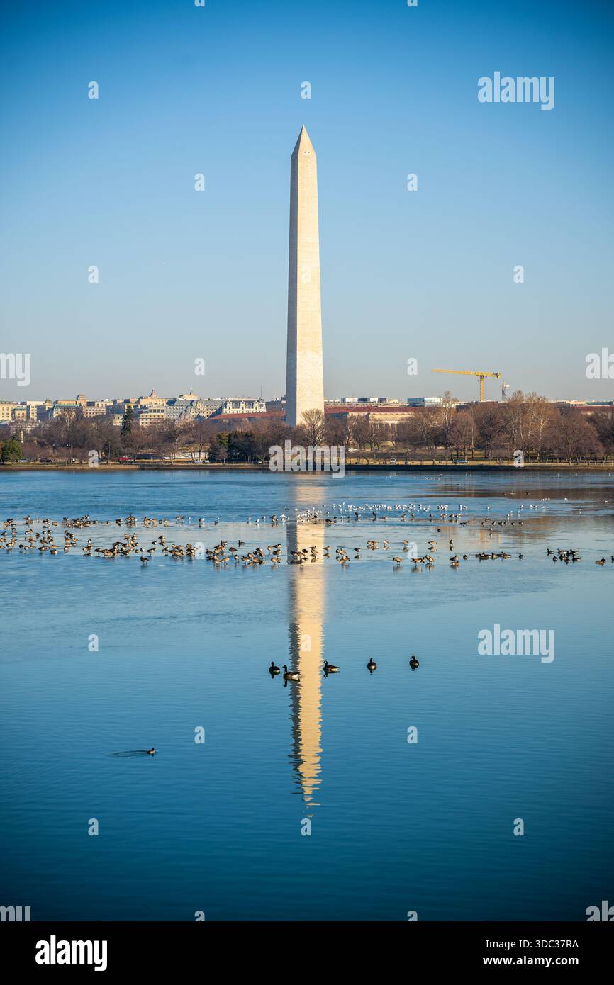 Canada geese dc monuments hi-res stock photography and images - Alamy