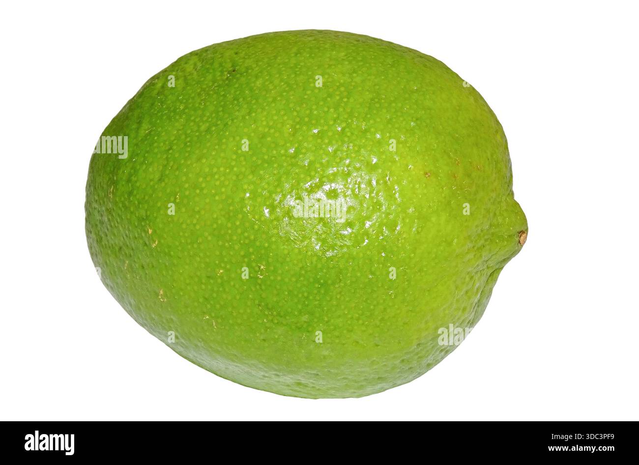 Lime isolated on white background Stock Photo