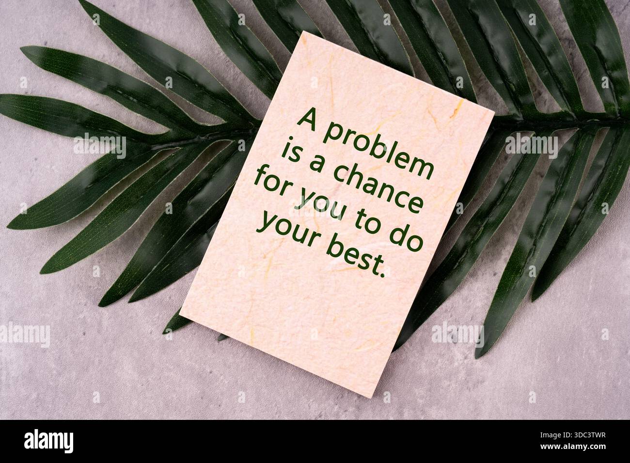 Paper with inspirational quotes a problem is a chance for you to do the ...