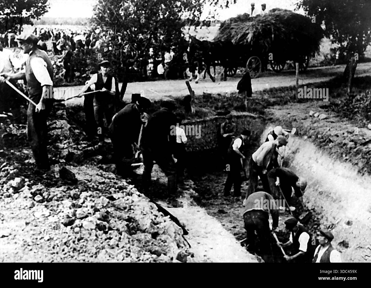 Dig Fortication In Eastern Prussia, the whole population is engaged in building ...