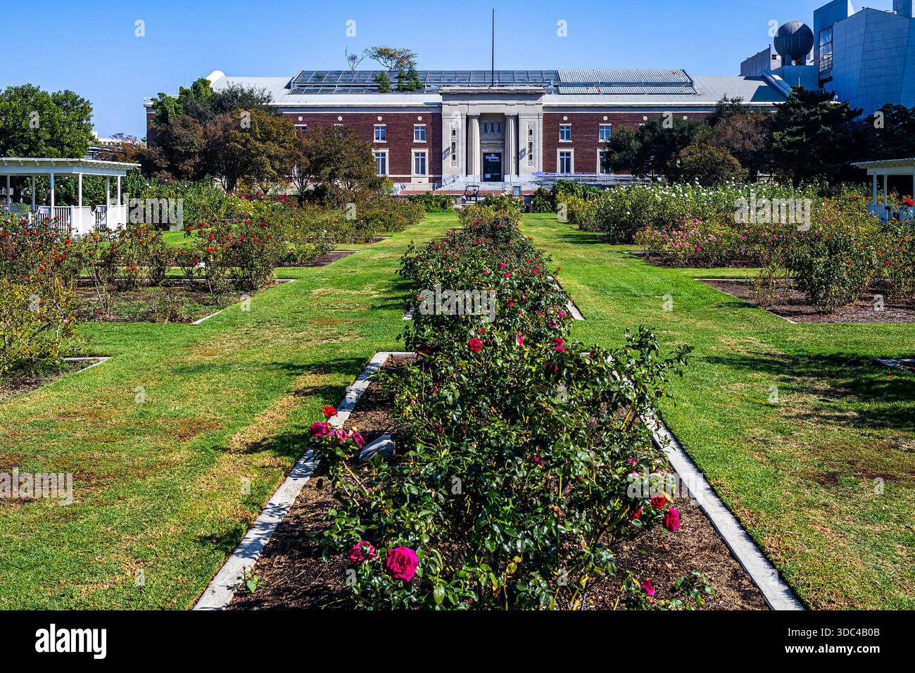 Exposition park rose garden los angeles hi-res stock photography