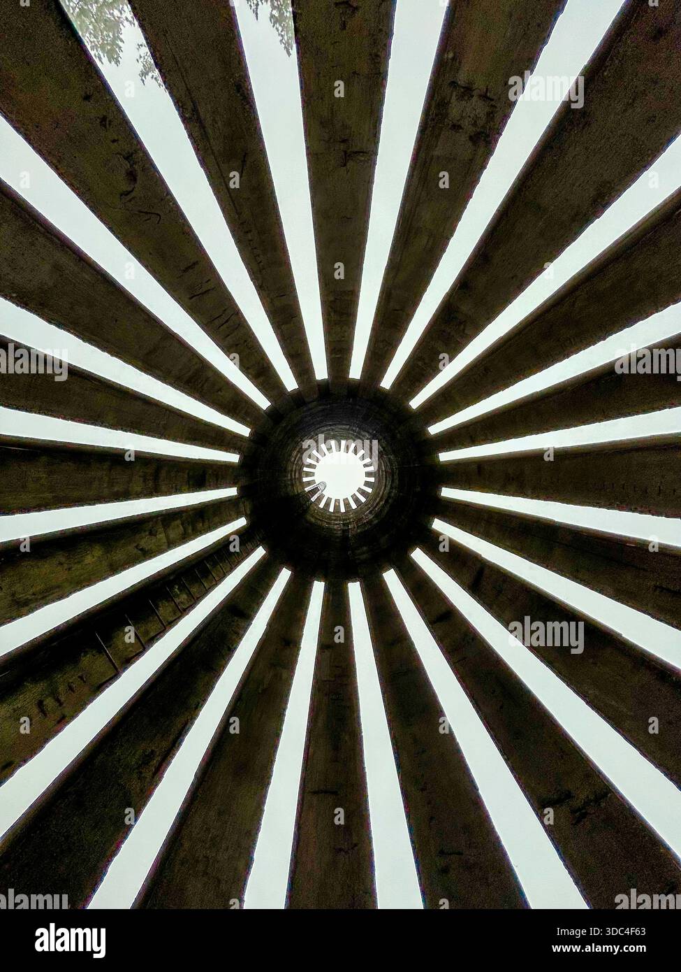 Symmetrical radial concrete beams forming a circular pattern, photographed from below. Minimalist architectural geometry. - Smartphone Captured Stock Image