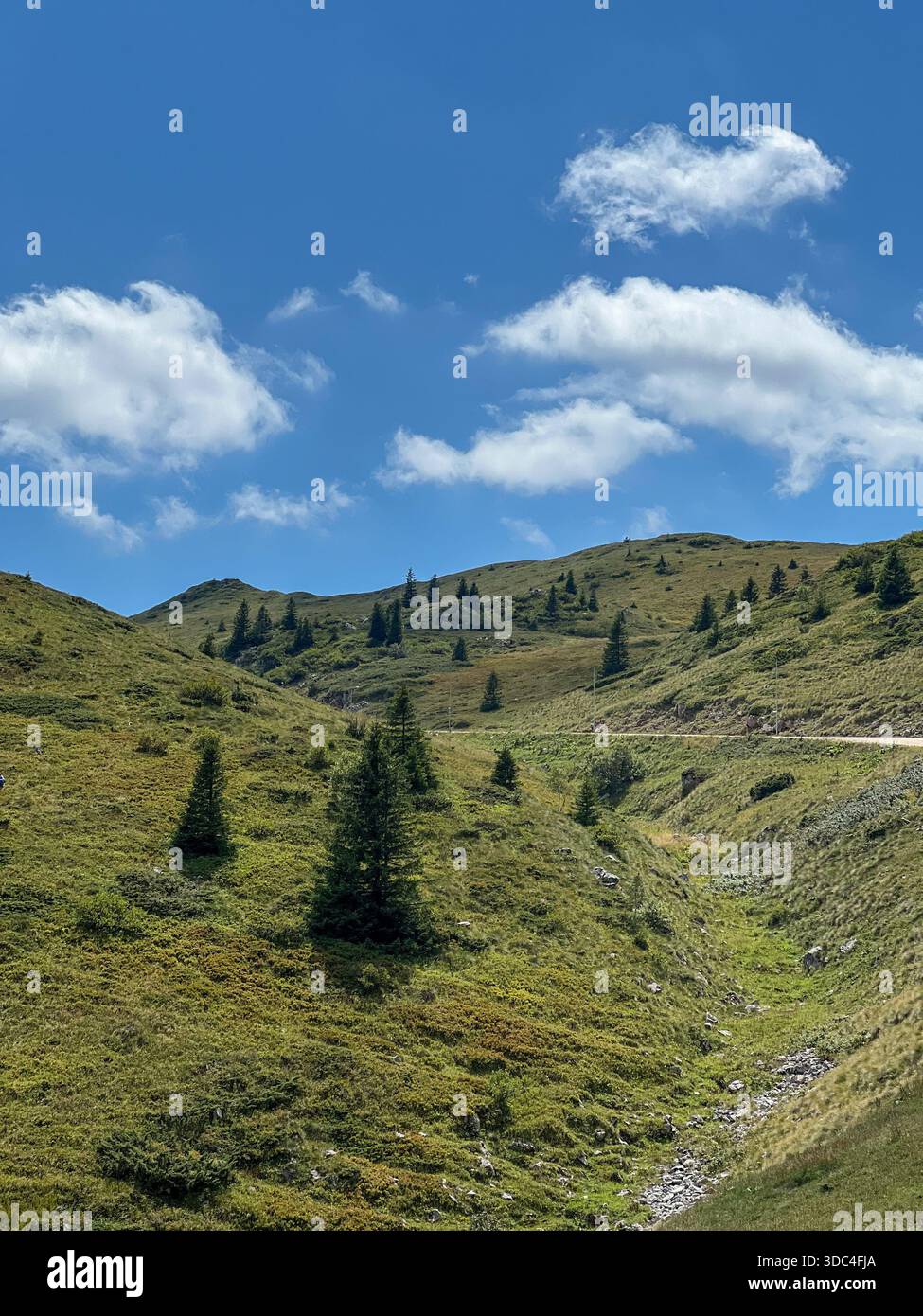 A peaceful summer landscape of Jahorina Mountain, showing a green valley with scattered evergreens under a bright blue sky with soft clouds. - Smartphone Captured Stock Image