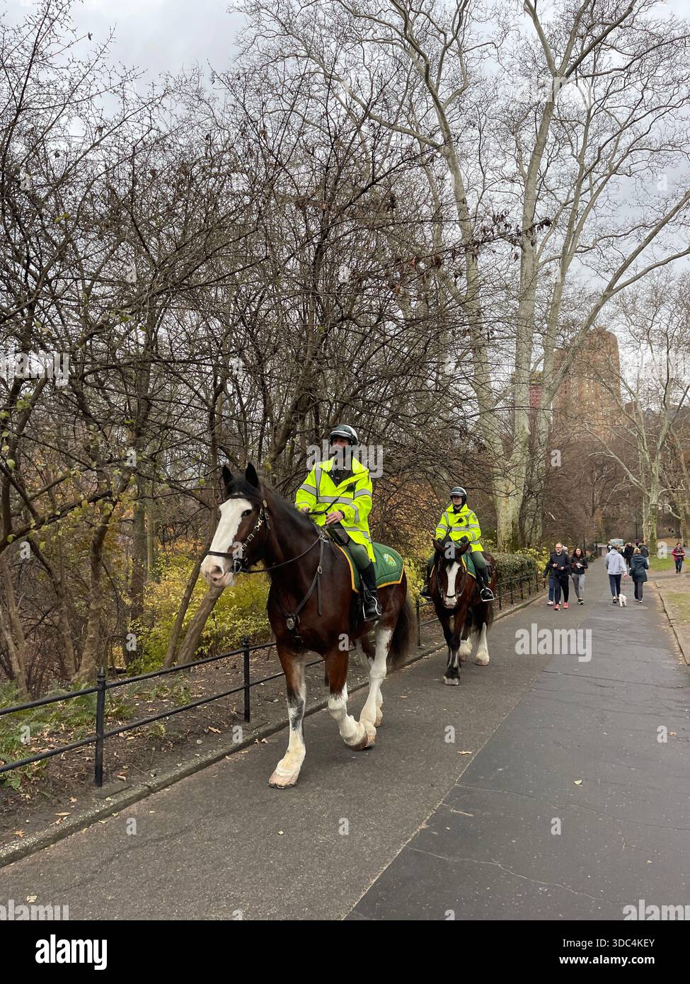 Everyday life in Manhattan, where urban energy meets pockets of green and calm. - Smartphone Captured Stock Image