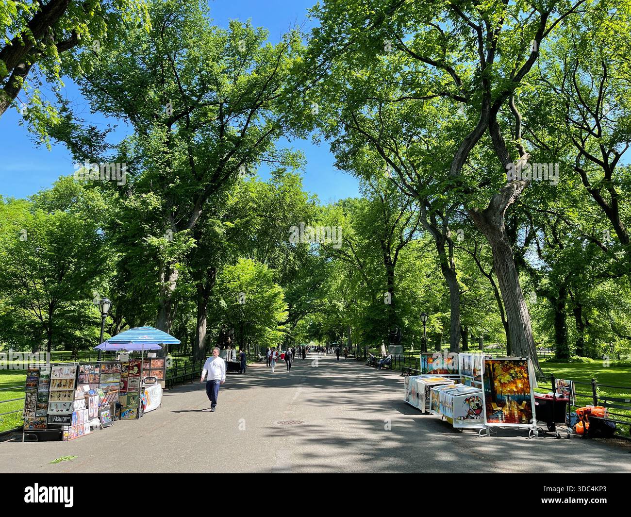 Everyday life in Manhattan, where urban energy meets pockets of green and calm. - Smartphone Captured Stock Image