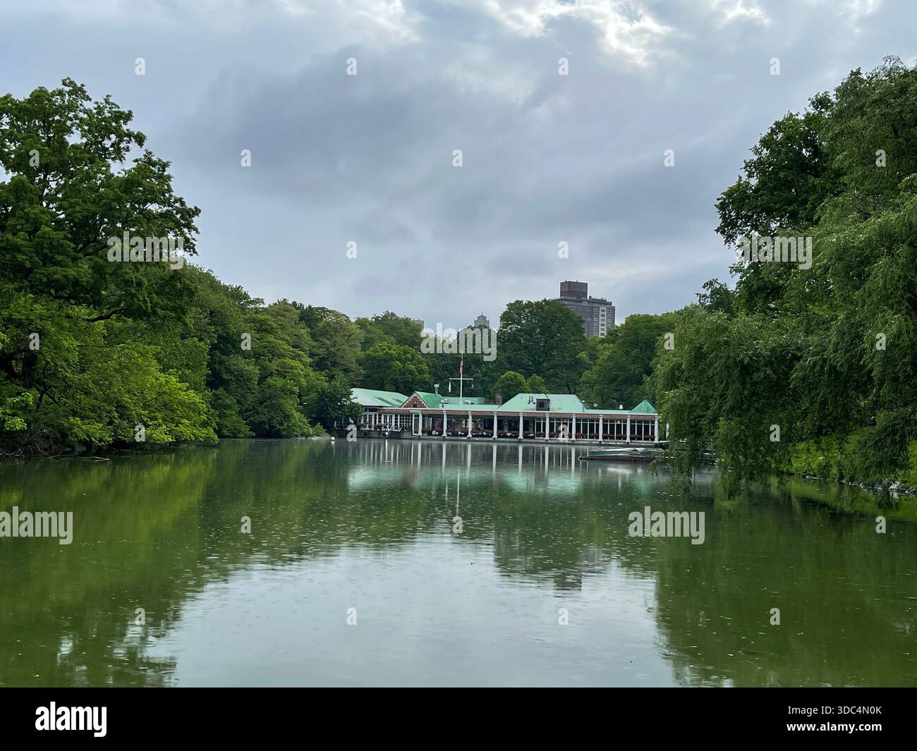 Everyday life in Manhattan, where urban energy meets pockets of green and calm. - Smartphone Captured Stock Image