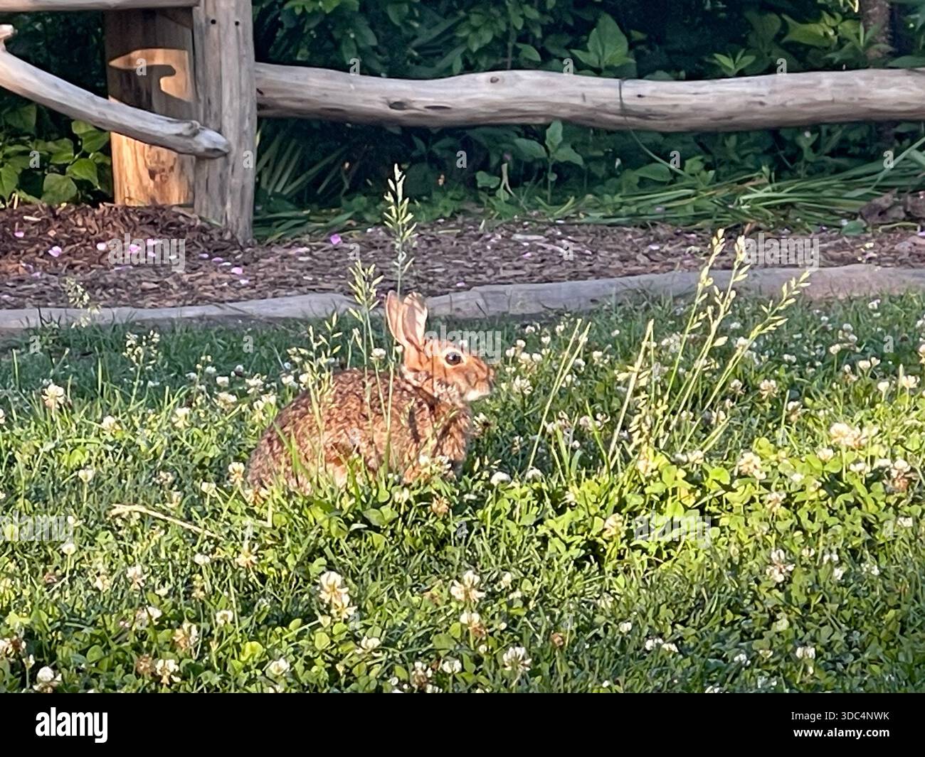 Everyday life in Manhattan, where urban energy meets pockets of green and calm. - Smartphone Captured Stock Image