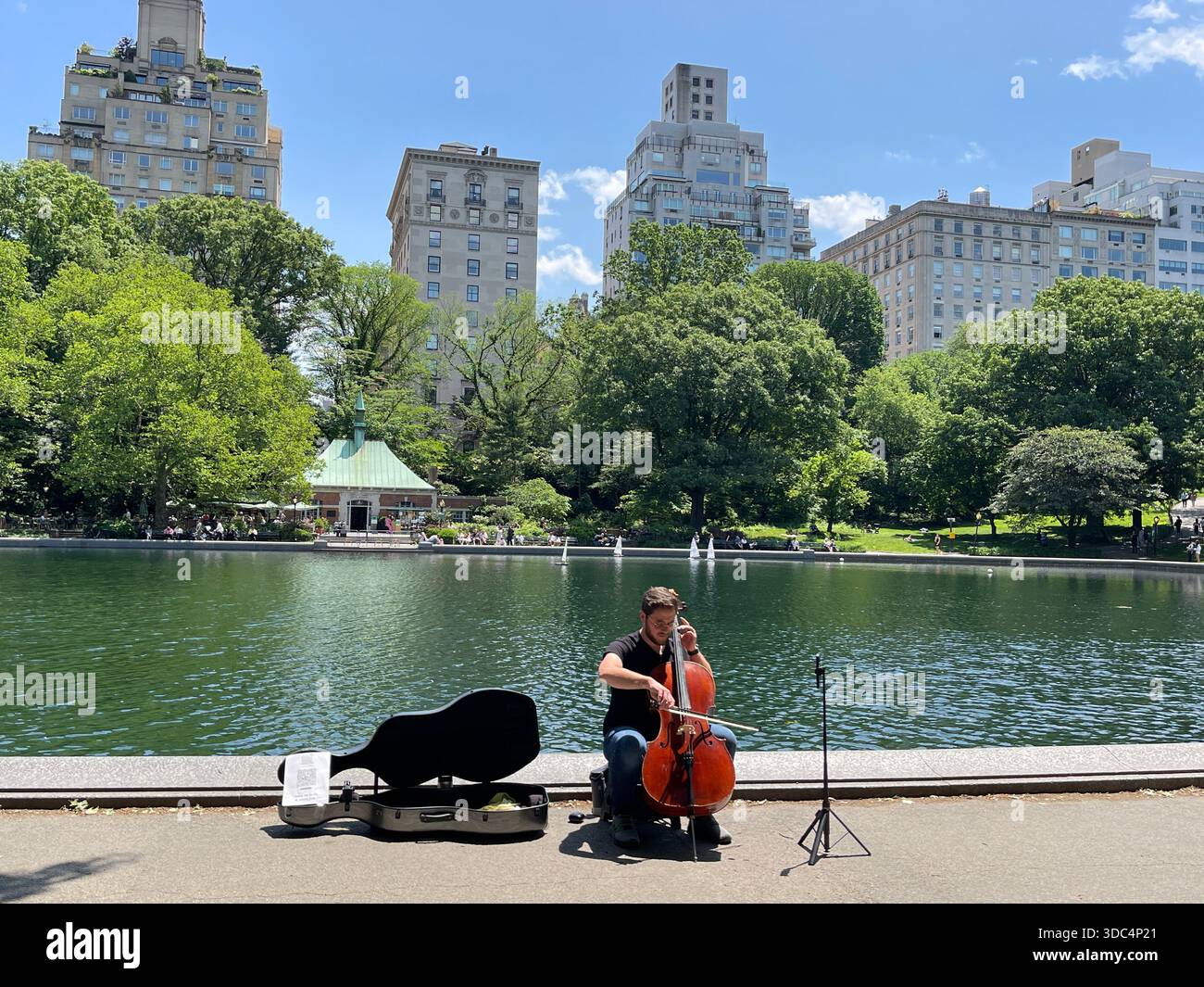 Everyday life in Manhattan, where urban energy meets pockets of green and calm. - Smartphone Captured Stock Image