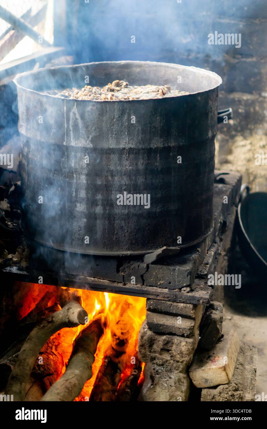 The process of boiling snail meat in the traditional way, using ...