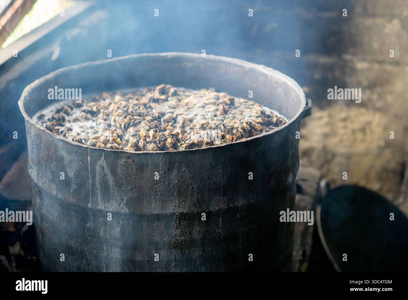 The process of boiling snail meat in the traditional way, using ...