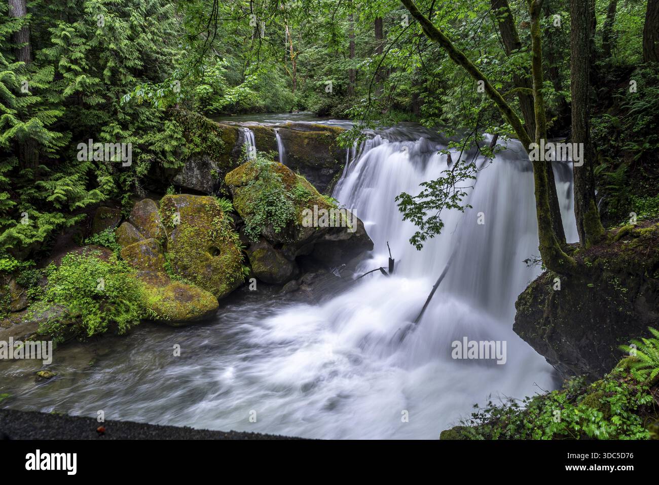 Whatcom Falls, Whatcom Falls Park, Bellingham, Washington, United States of America Stock Photo
