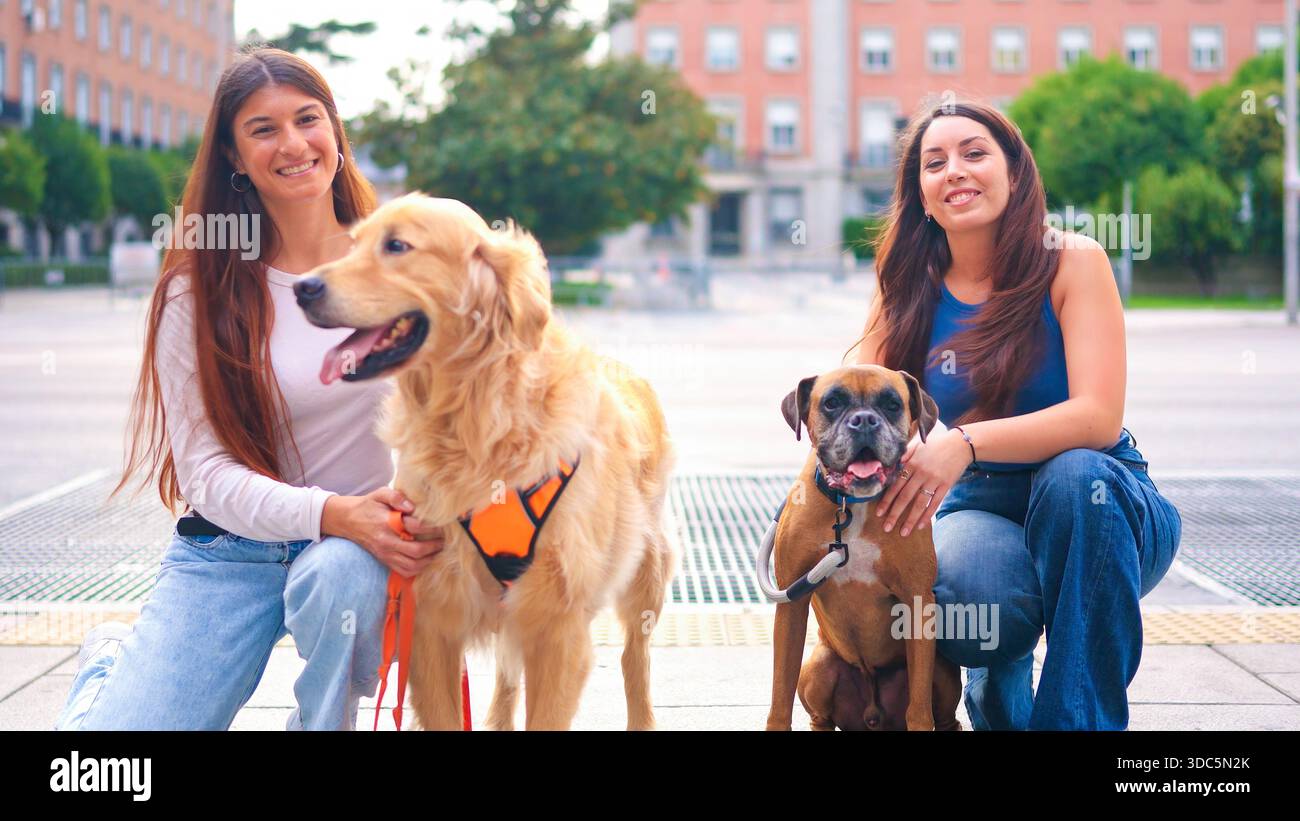 Candid shot two dogs in hi-res stock photography and images - Alamy