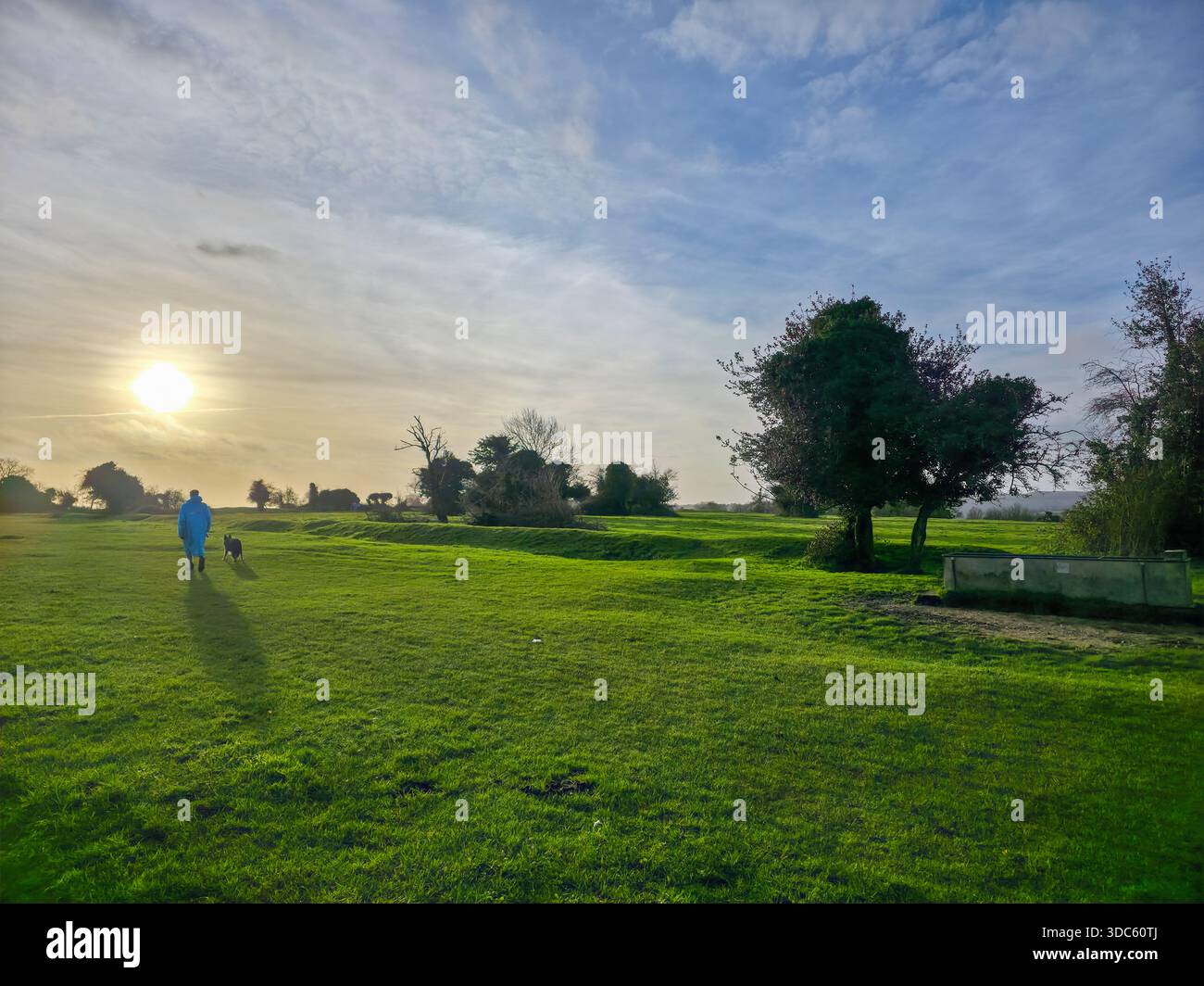 Lone Tree in Green Field at Sunset, English Countryside - Smartphone Captured Stock Image