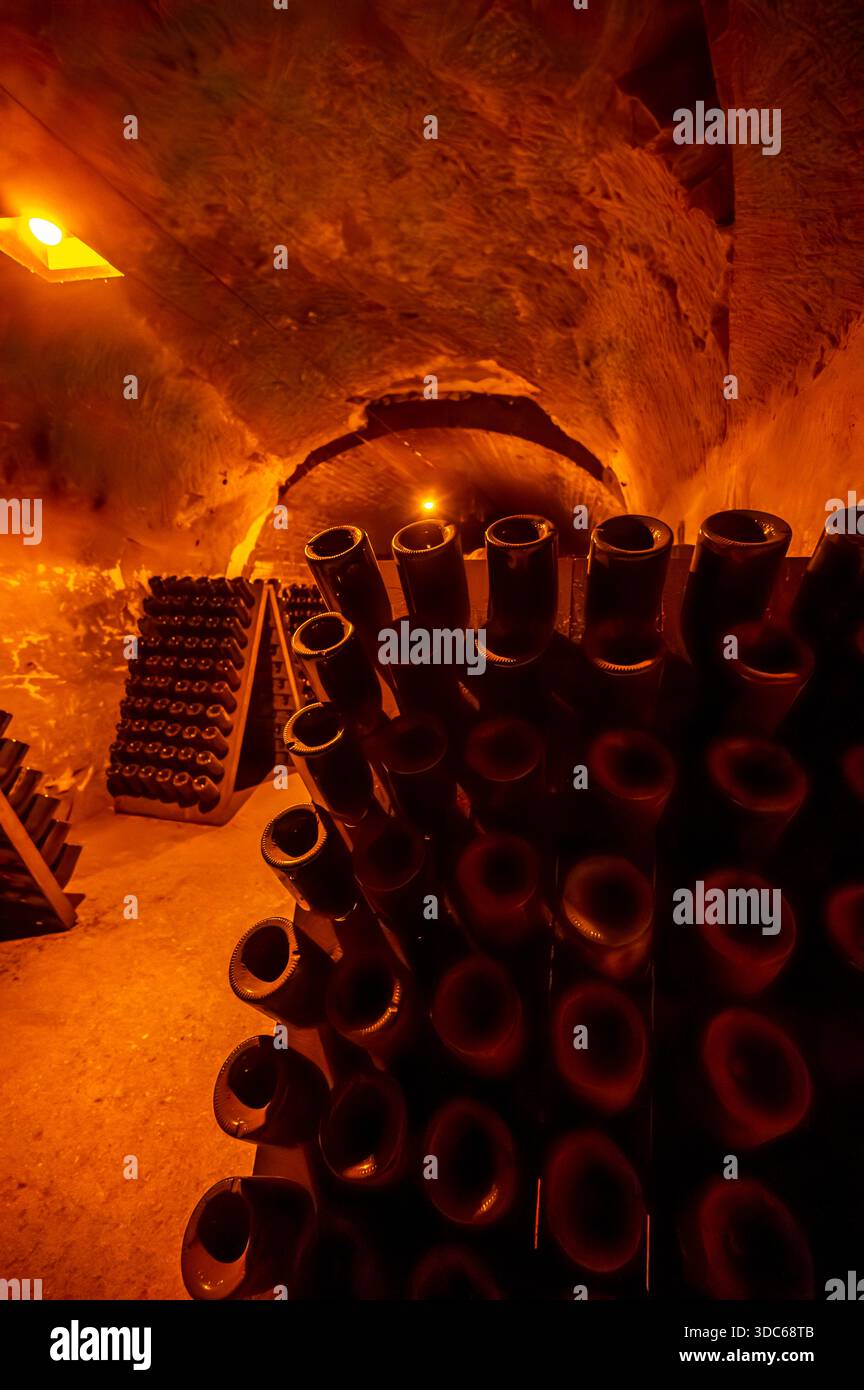 Riddling or remuage sediment to the bottle neckin deep underground ...