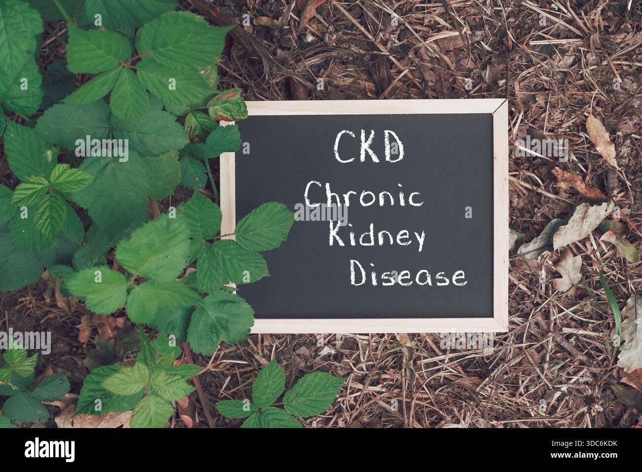 Chronic kidney disease hi-res stock photography and images - Alamy