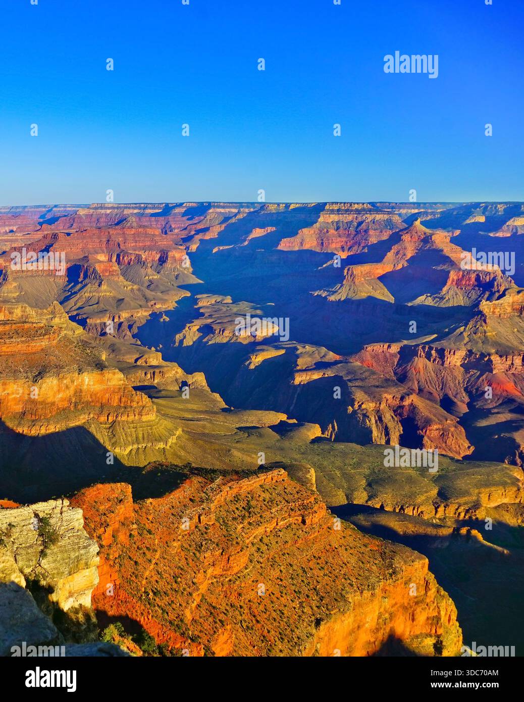 Grand Canyon South Rim Guide - Paradise Found Tours, image size:1038x1390