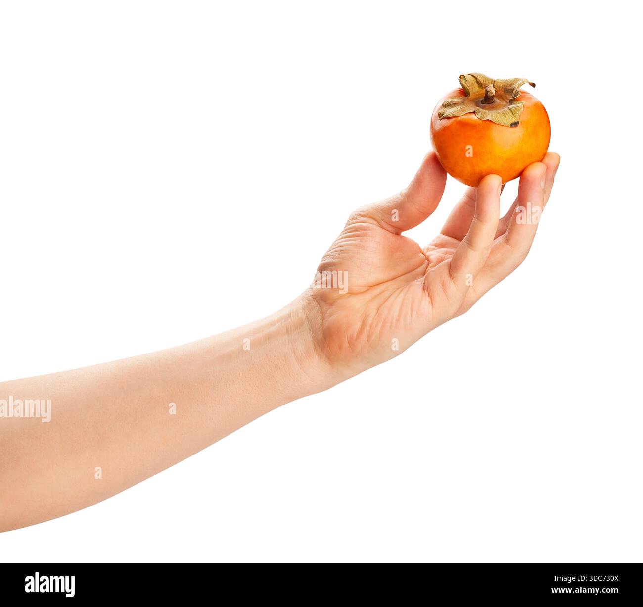 fuyu persimmon in hand path isolated on white Stock Photo