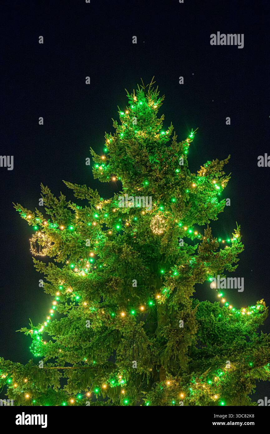 Green, Illuminated,, Christmas Tree, Stock Photo