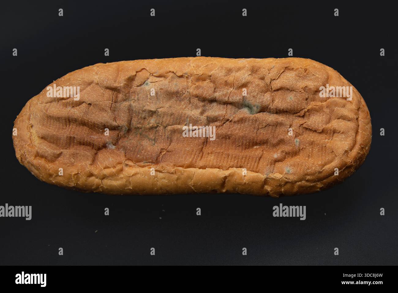 Moldy white bread loaf isolated on black background showing fungal ...