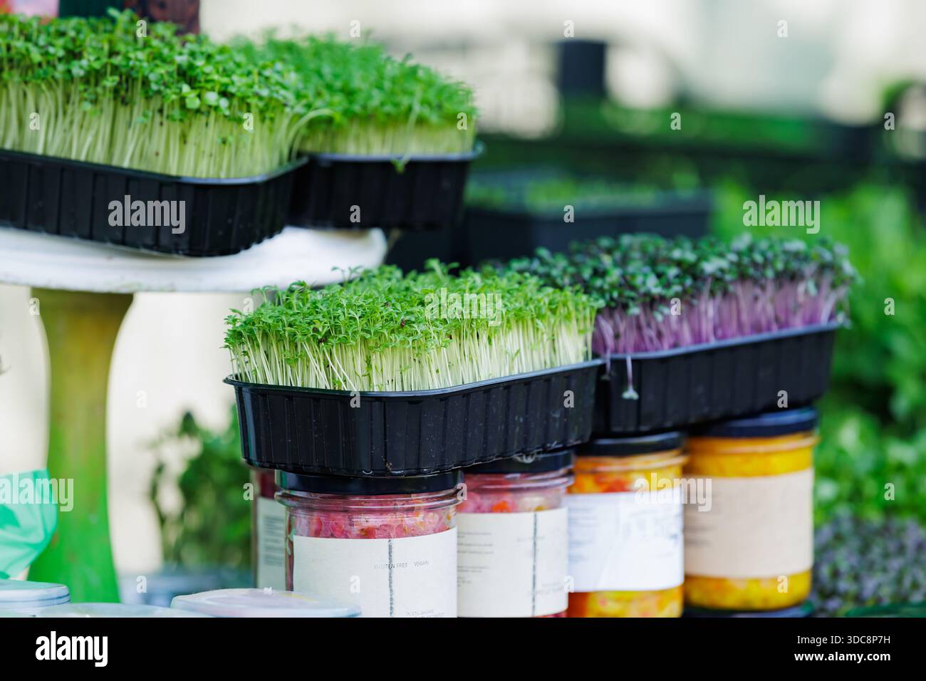 Sus symbol hi-res stock photography and images - Alamy
