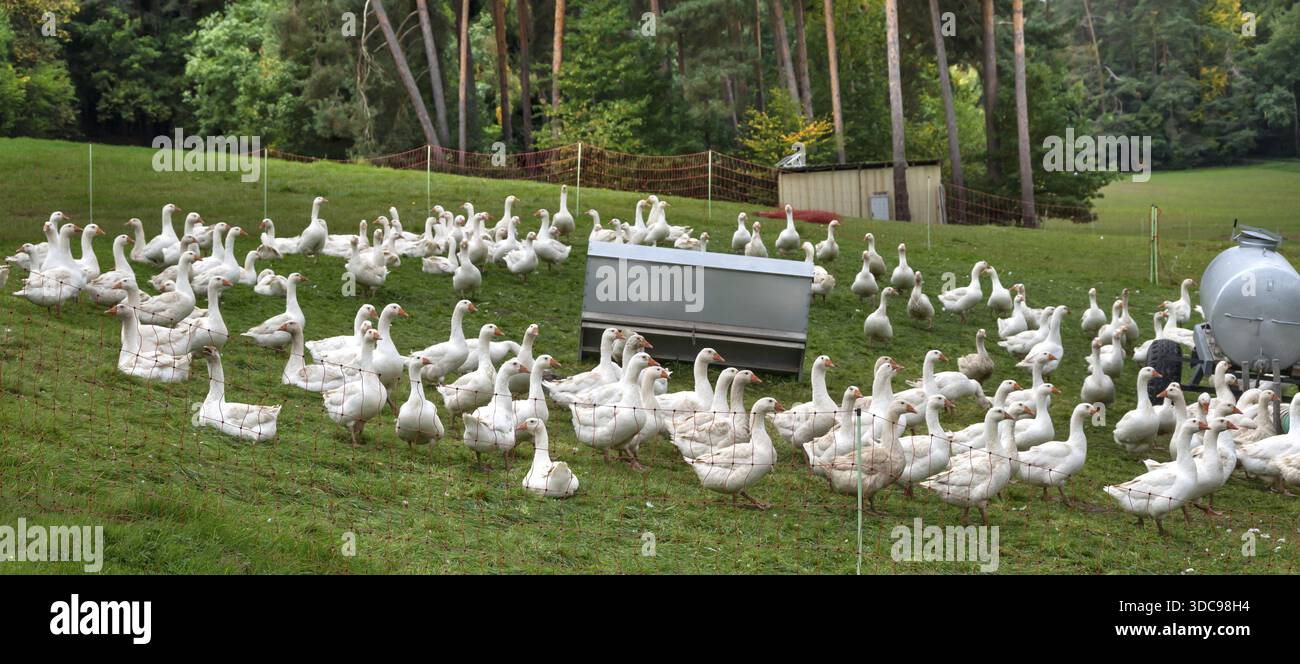 Heather Bullach Art, image size:1300x664