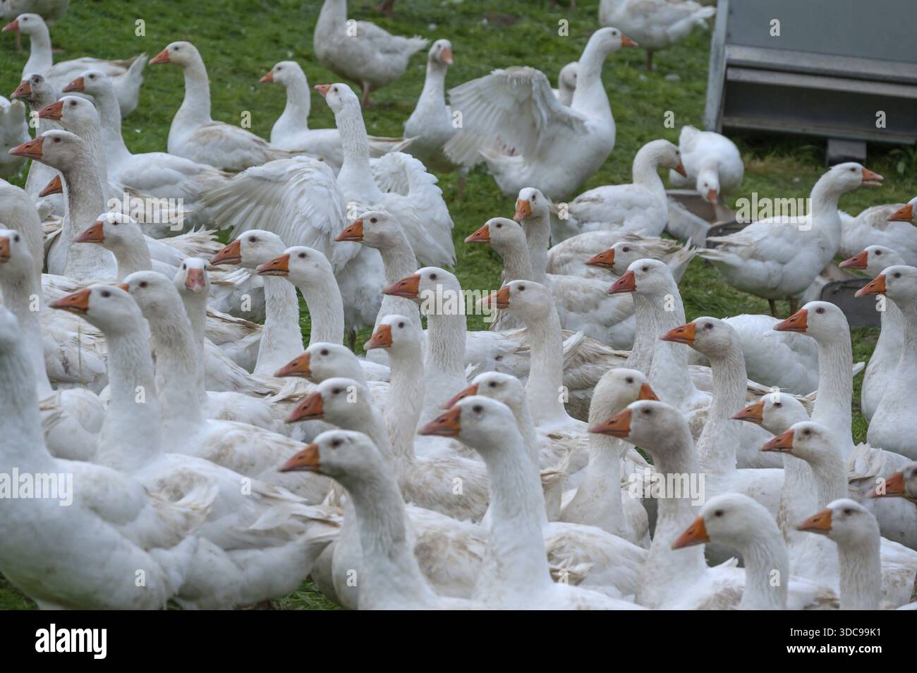 Paradise — Heather Bullach Art, image size:1300x954