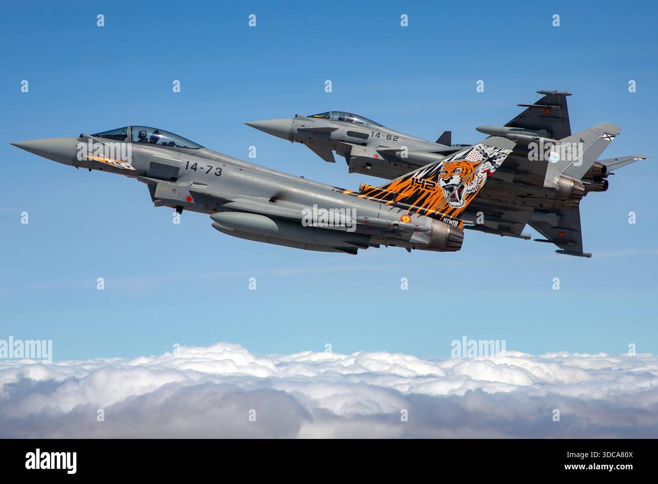 The Spanish Air Force Eurofighter EF-2000 Typhoon and Typhoon S ...