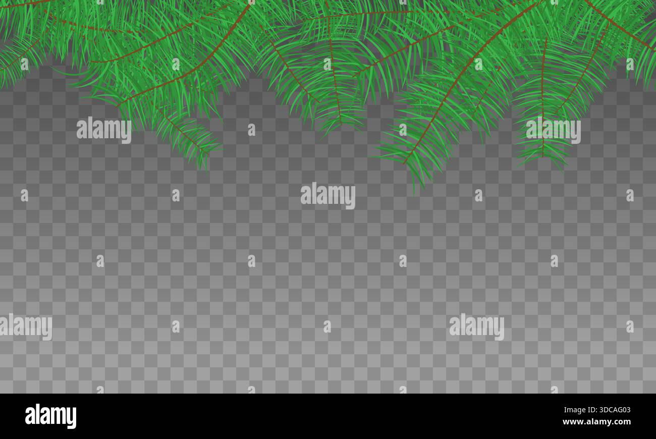 Christmas pine tree branches border. Green fir top frame on checkered ...