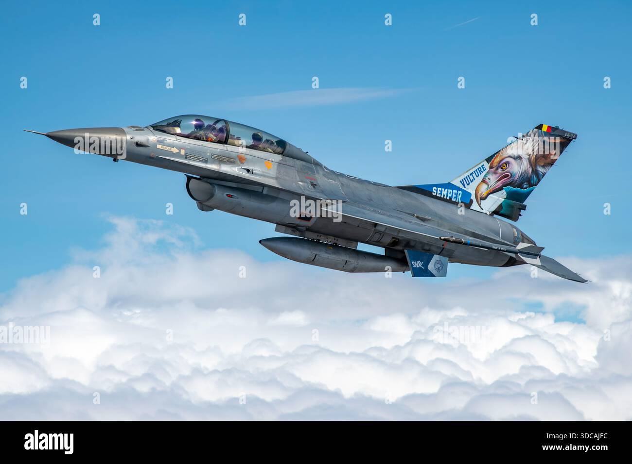 Belgian Air Force F-16BM Fighting Falcon FB-24 is photographed air-to ...