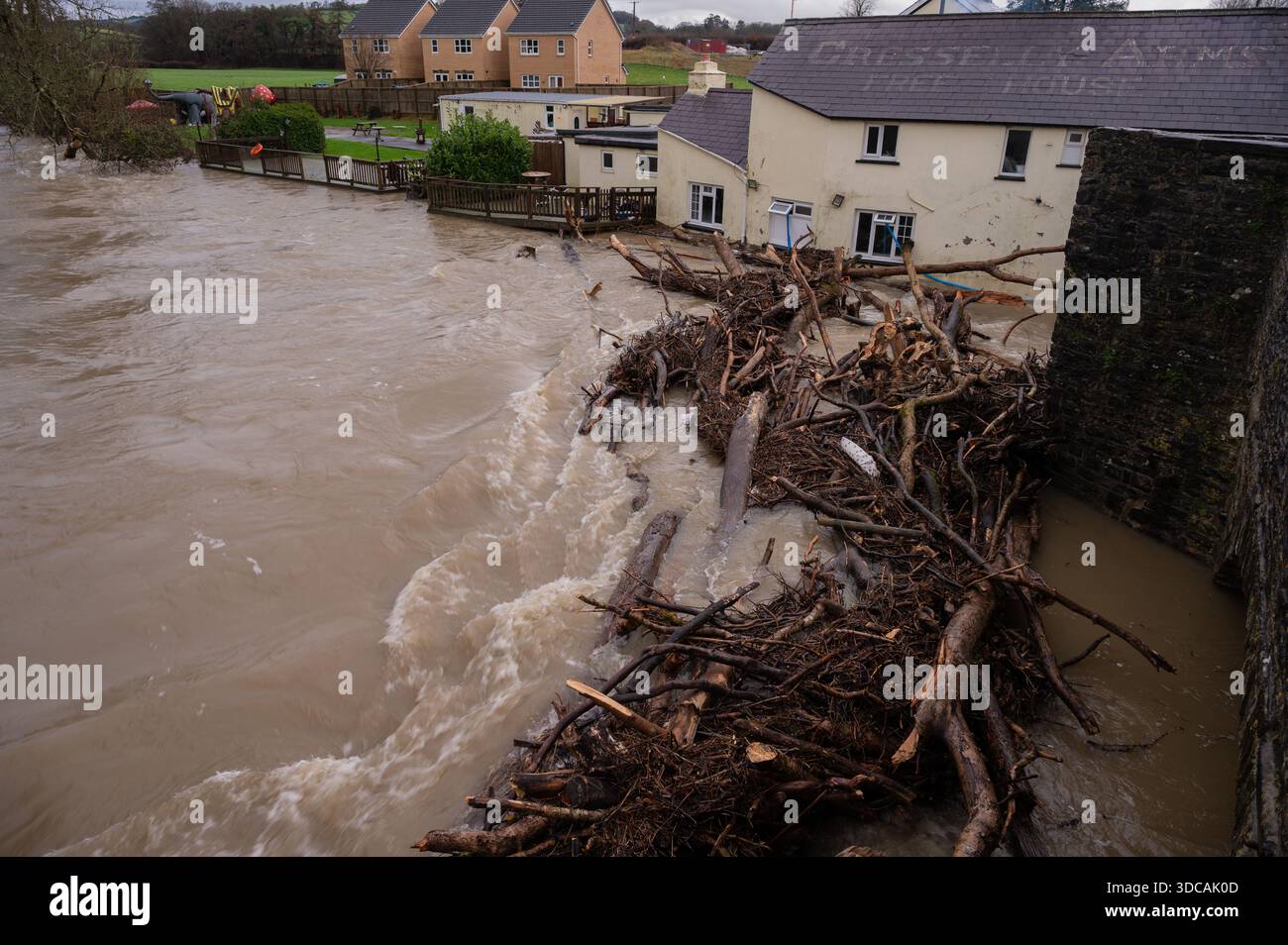 Large trees blocked by bridge across the Afon Cothi causing damage to ...