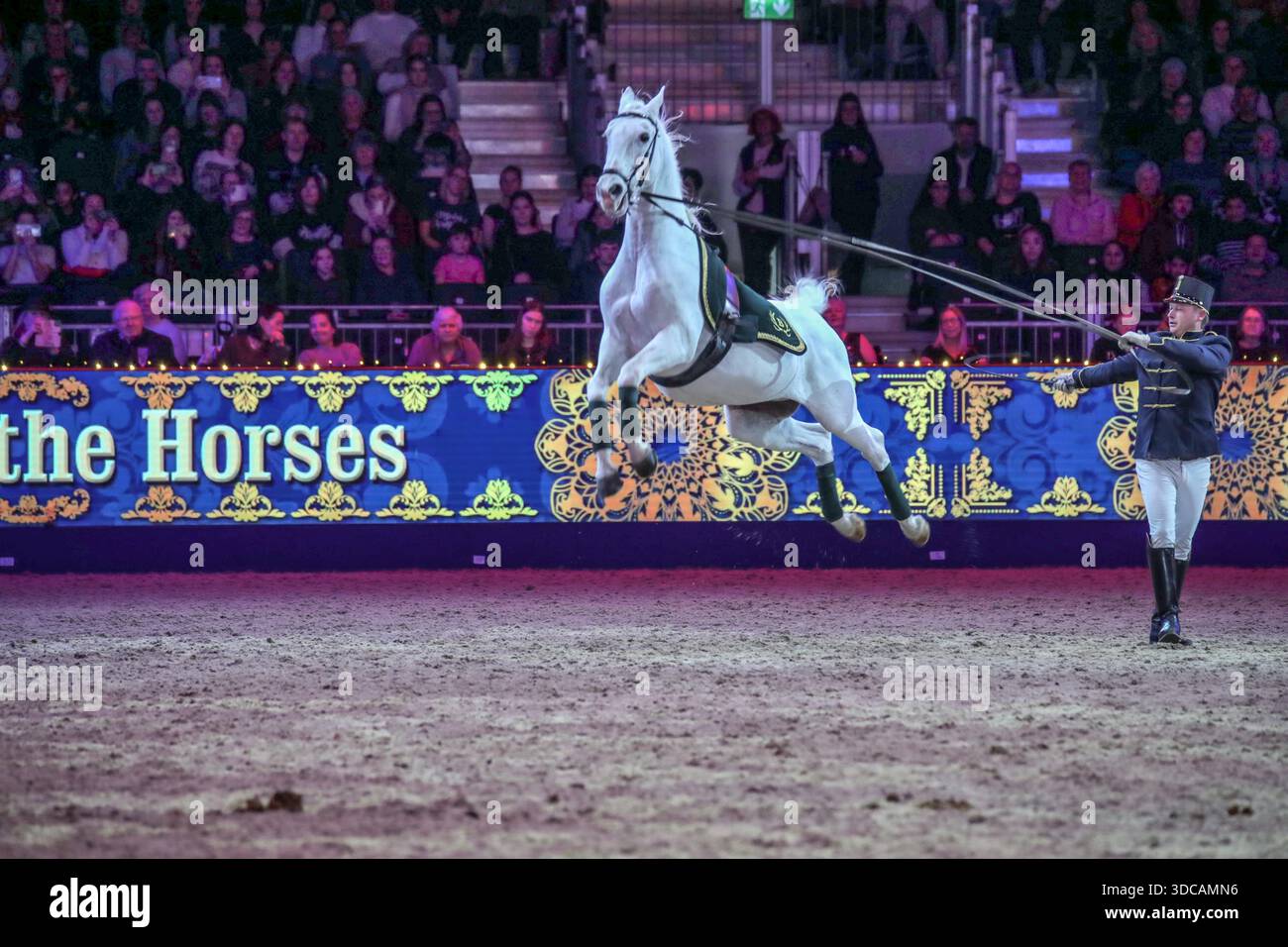 Excel London Uk 21 Dec 2025 The Beautiful Lipizzaner Horses In Spirit excel-london-uk-21-dec-2025-the-beautiful-lipizzaner-horses-in-spirit