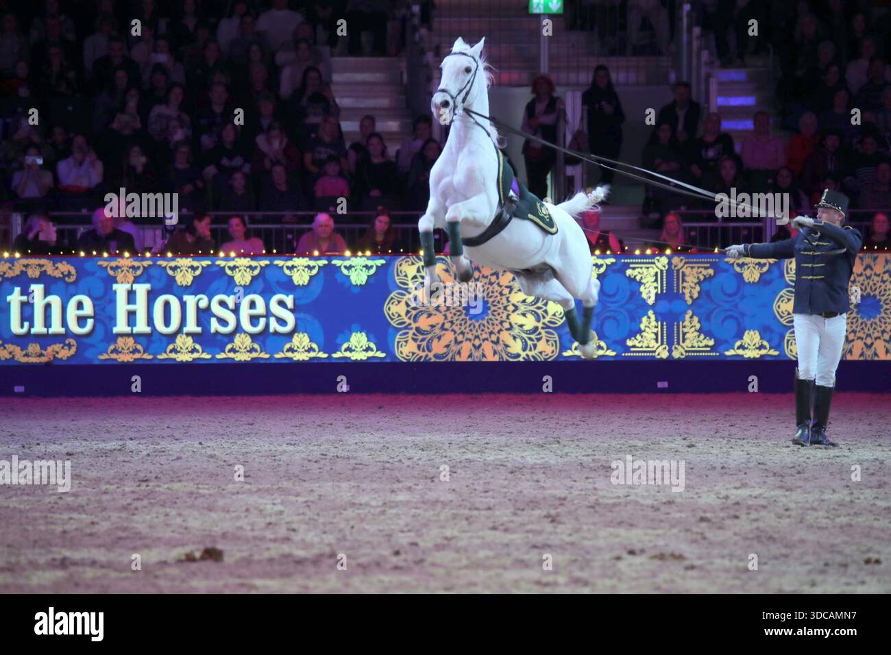 Excel London Uk 21 Dec 2025 The Beautiful Lipizzaner Horses In Spirit excel-london-uk-21-dec-2025-the-beautiful-lipizzaner-horses-in-spirit