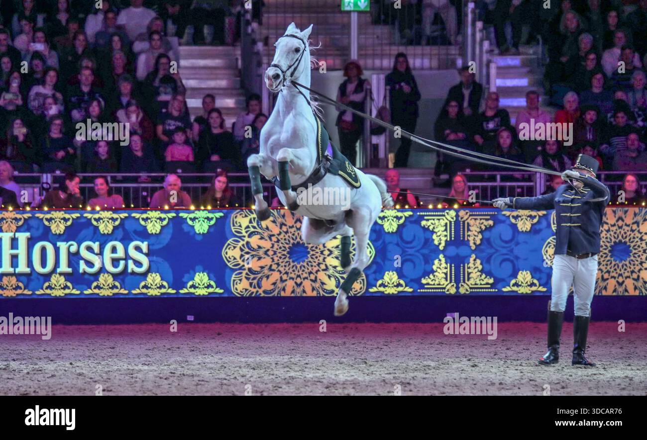 Excel London Uk 21 Dec 2025 The Beautiful Lipizzaner Horses In Spirit excel-london-uk-21-dec-2025-the-beautiful-lipizzaner-horses-in-spirit