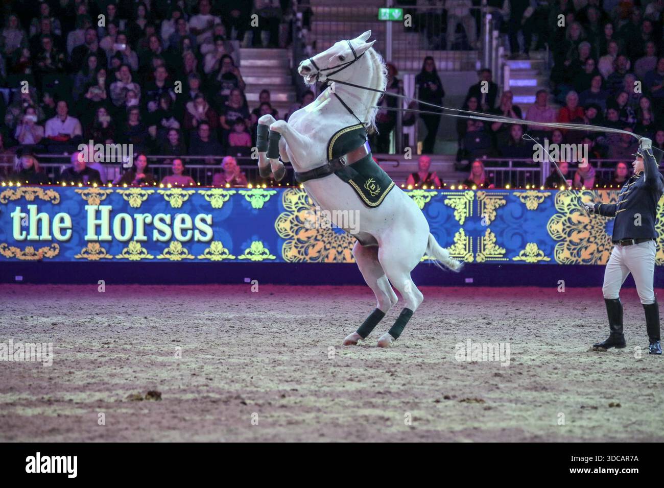 Excel London Uk 21 Dec 2025 The Beautiful Lipizzaner Horses In Spirit excel-london-uk-21-dec-2025-the-beautiful-lipizzaner-horses-in-spirit