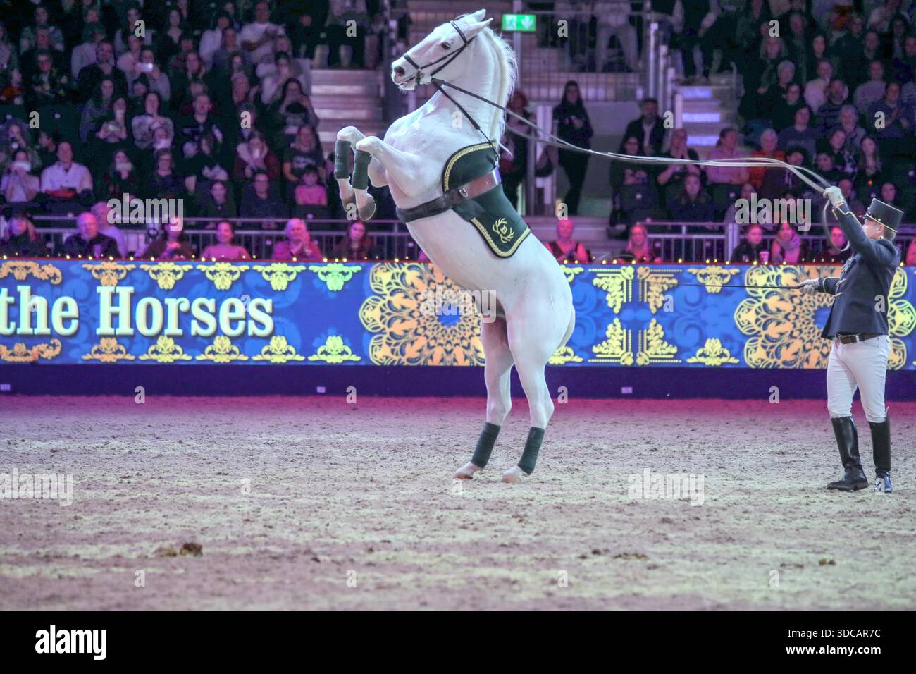 Excel London Uk 21 Dec 2025 The Beautiful Lipizzaner Horses In Spirit excel-london-uk-21-dec-2025-the-beautiful-lipizzaner-horses-in-spirit