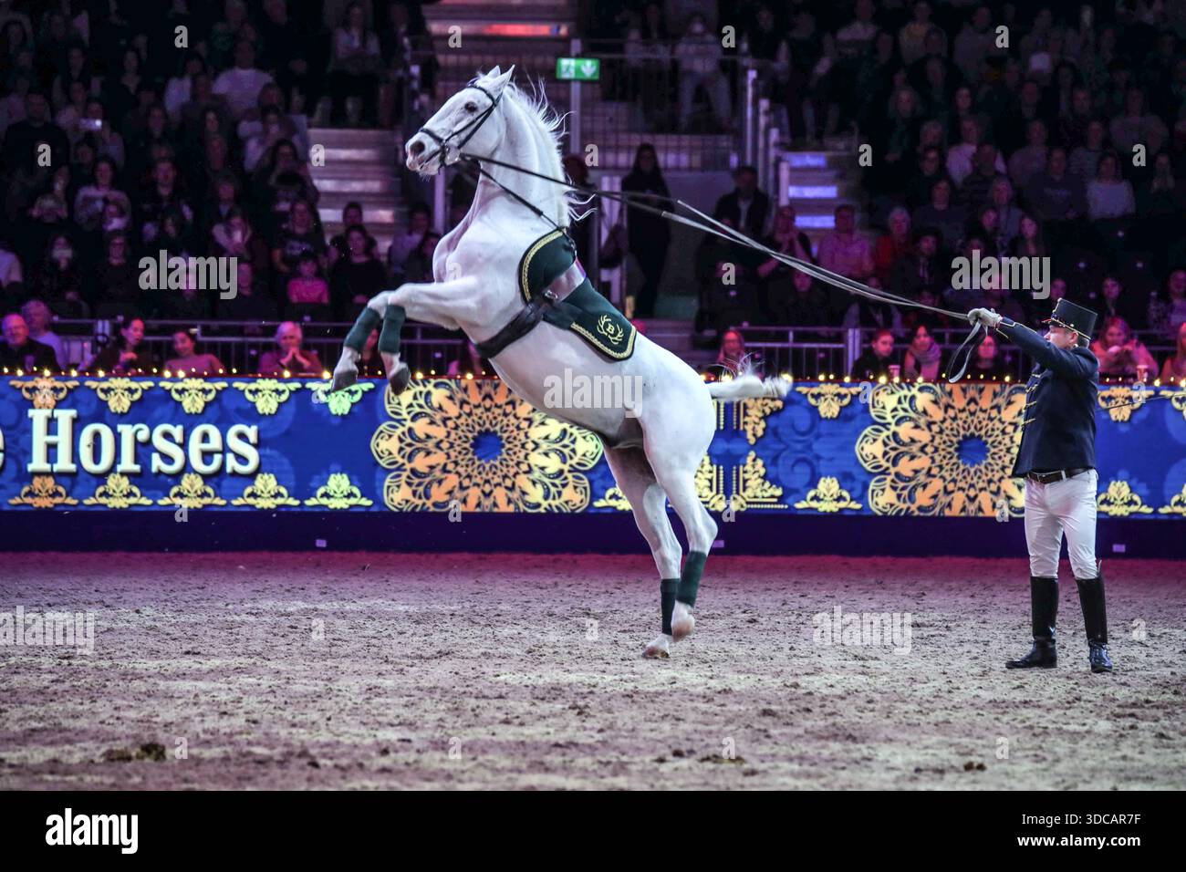 Excel London Uk 21 Dec 2025 The Beautiful Lipizzaner Horses In Spirit excel-london-uk-21-dec-2025-the-beautiful-lipizzaner-horses-in-spirit