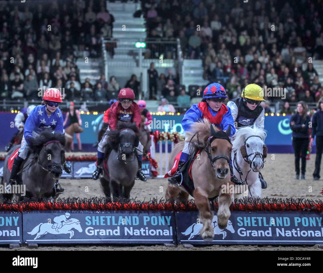 London Excel 21 Dec 2025 The eagerly awaited Shetland Pony Grand ...