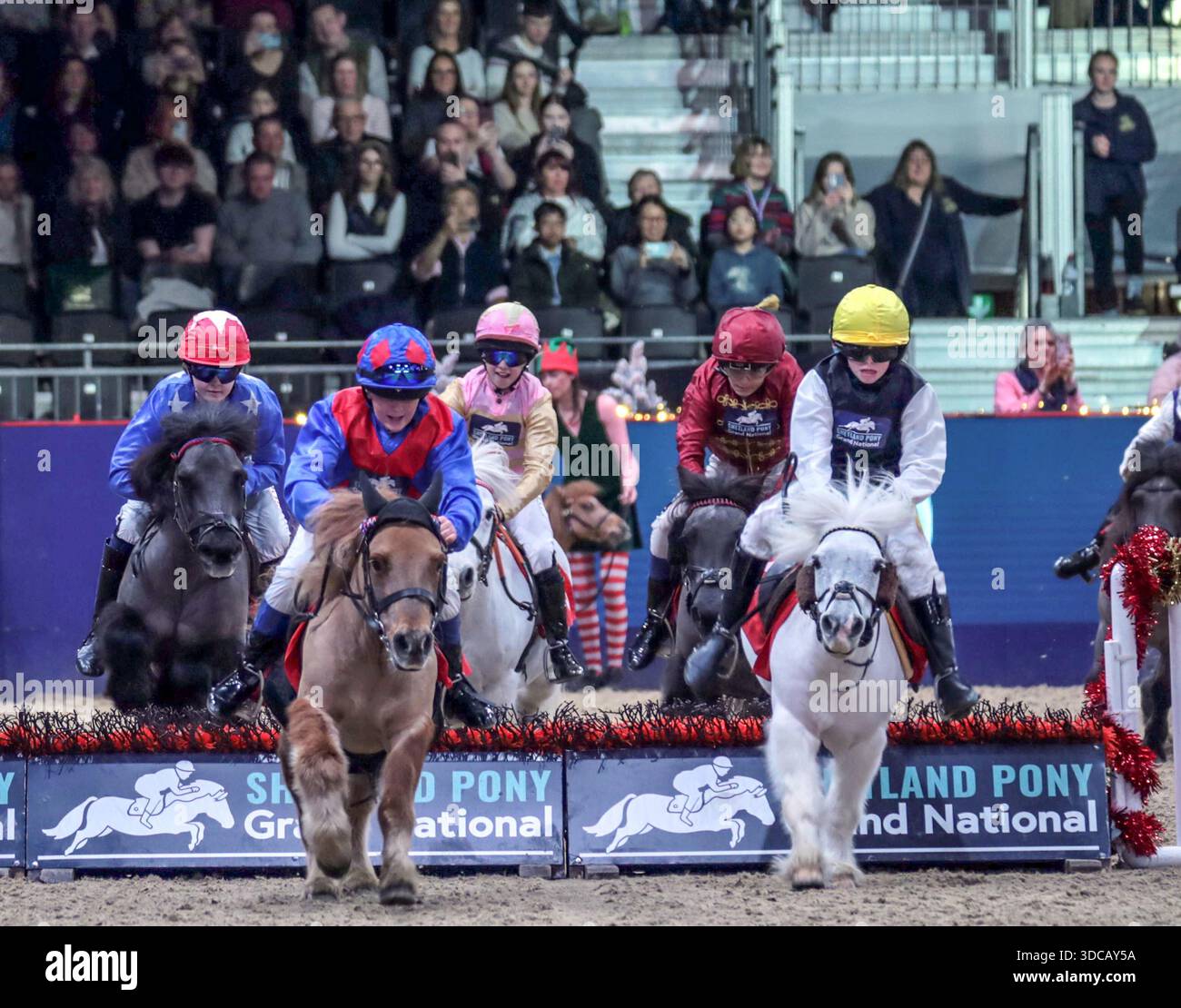 London Excel 21 Dec 2025 The eagerly awaited Shetland Pony Grand ...