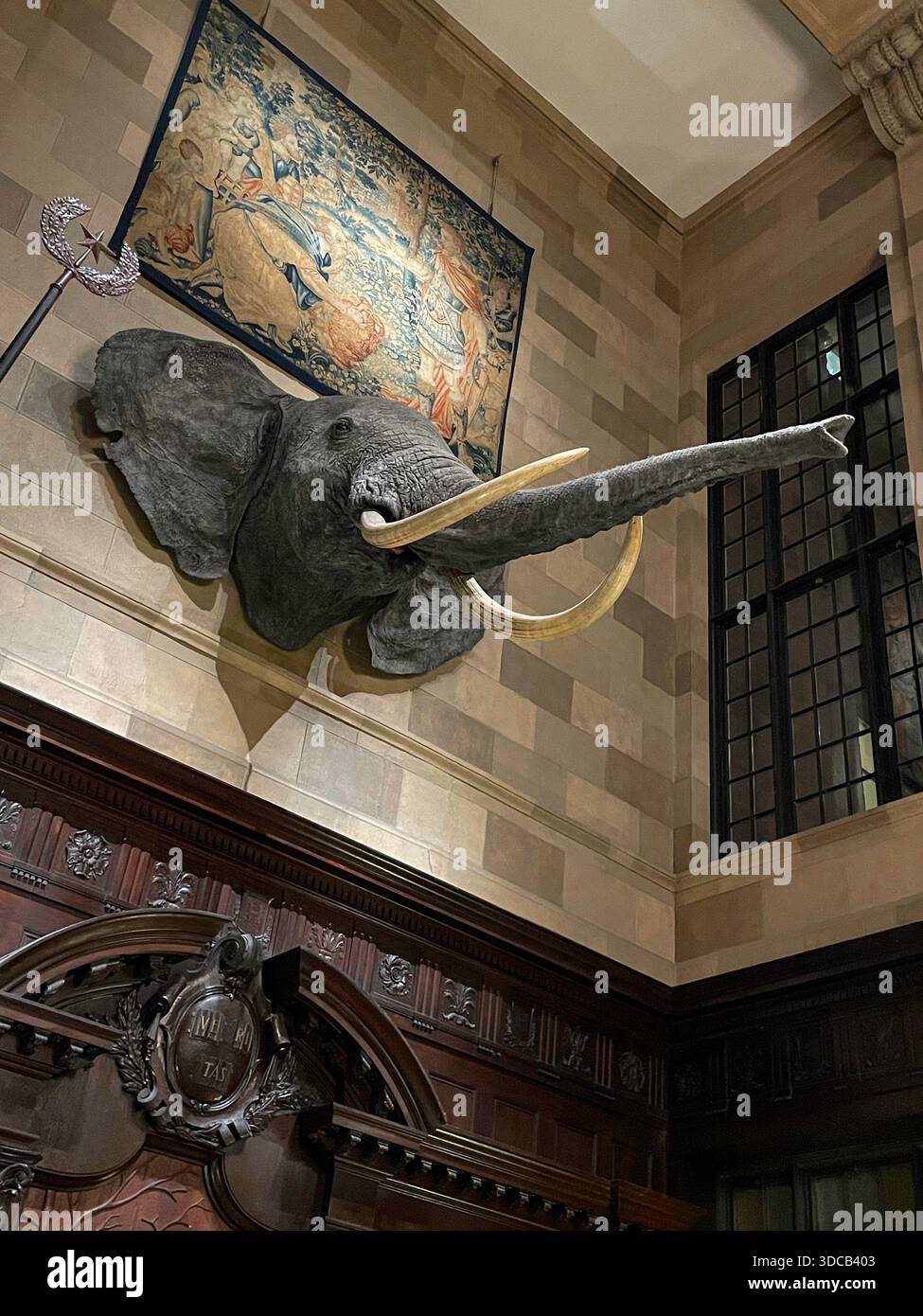 Harvard Hall is a magnificent event space in the Harvard club, 2025, New York City, USA - Smartphone Captured Stock Image