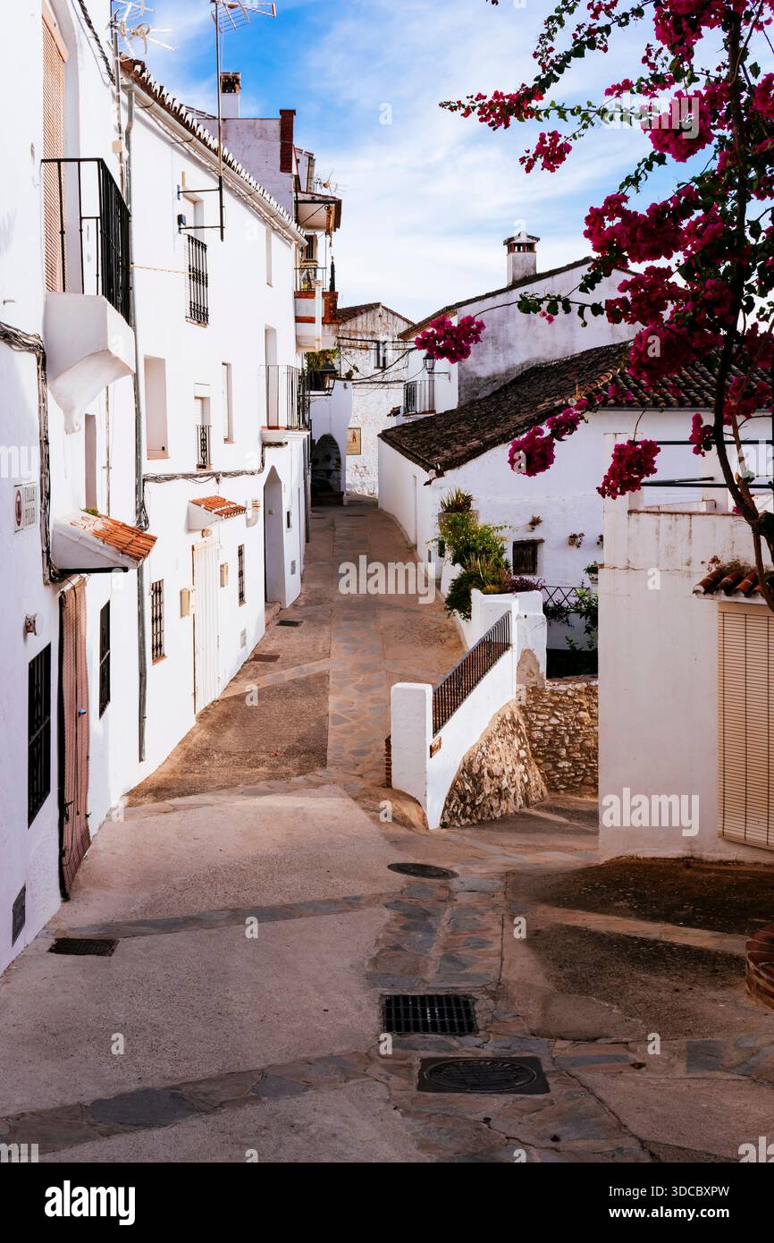 Narrow and steep village streets. Alpandeire, Sierra de Ronda, Málaga, Andalucía, Spain, Europe Stock Photo