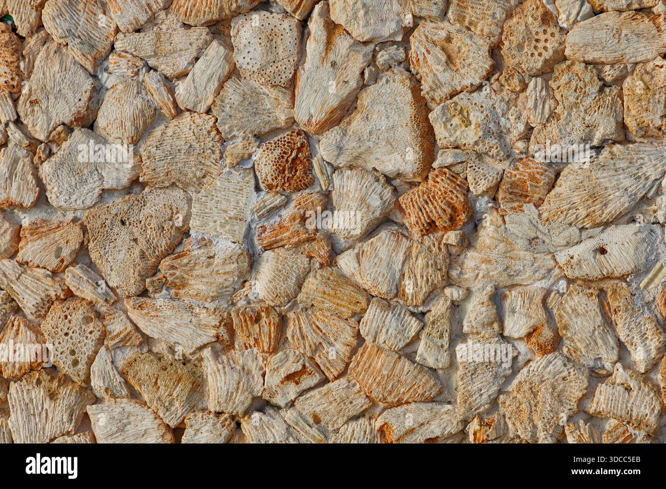 Swahili architecture coral wall hi-res stock photography and images - Alamy