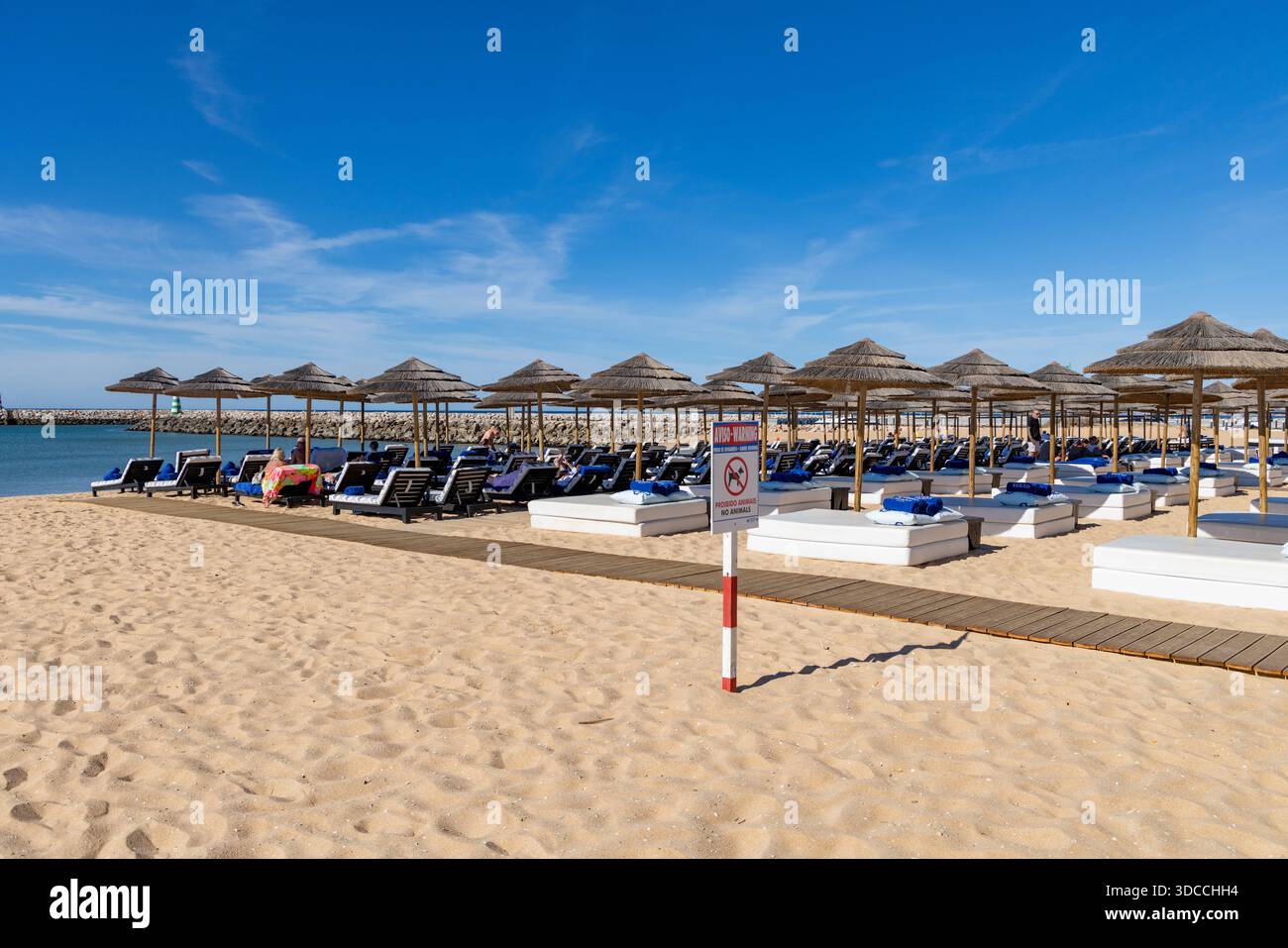 Purobeach Vilamoura, Algarve,Portugal, luxury beach resort offering relaxing sunbeds with parasols on the Algarve coast, Europe Stock Photo