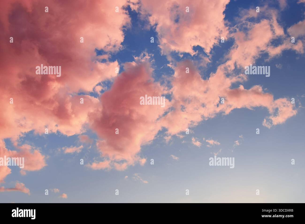 Beautiful sky with pink clouds within summer sunset as a background Stock Photo
