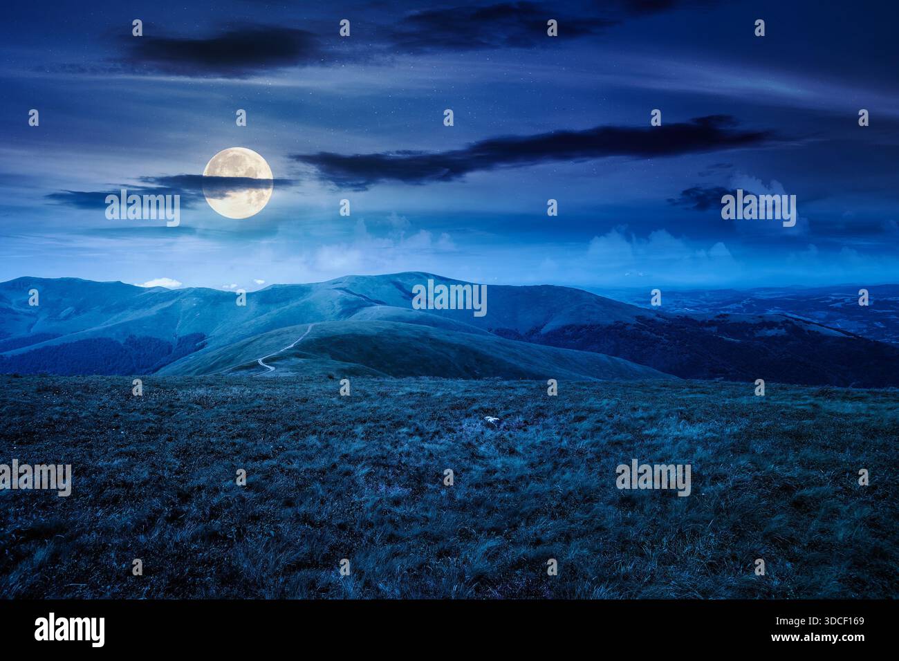 alpine meadows in mountains in summer at night. beautiful view of rolling hills with lush grass under dark sky in full moon light. travel destination. Stock Photo