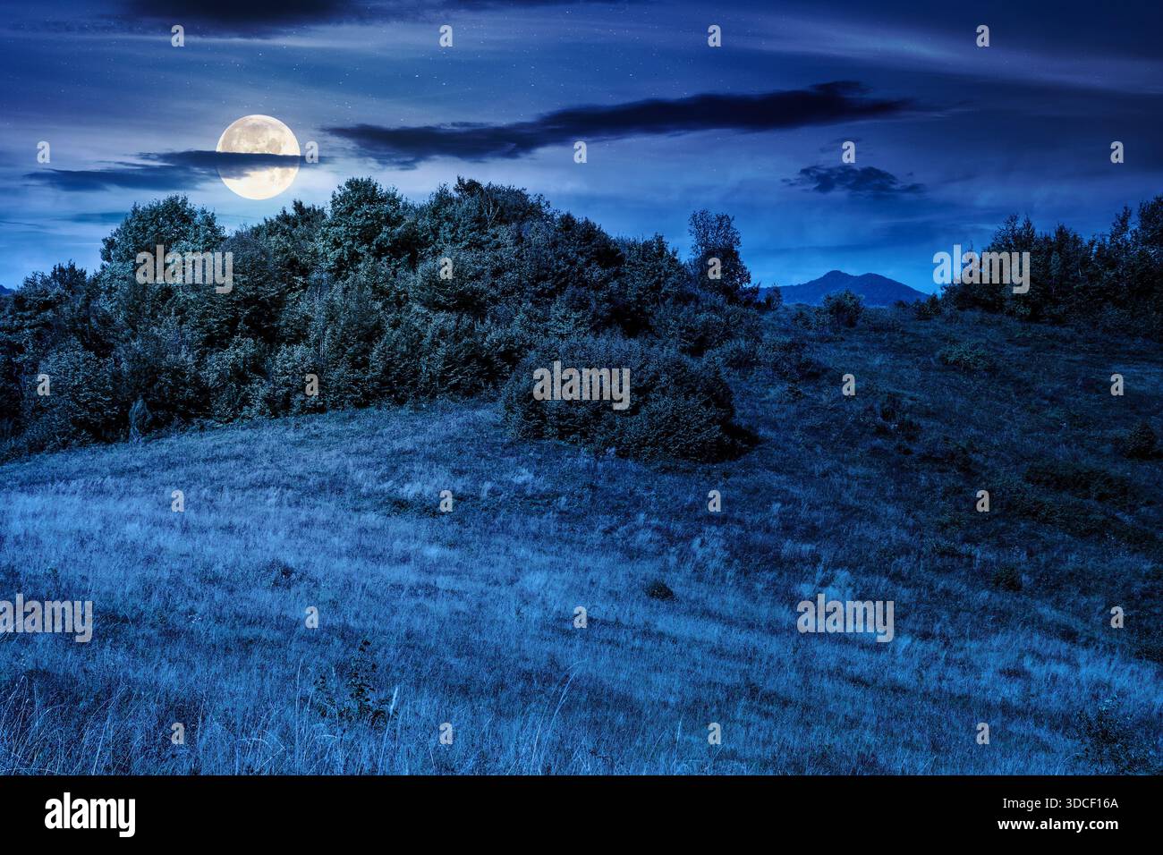 mountain landscape with foliage forest in autumn at night. beautiful beech woodland on rolling hills in highland of under dark sky in full moon light. Stock Photo