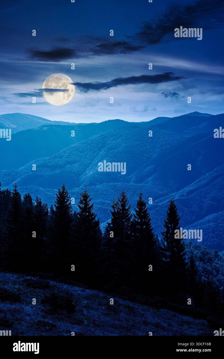 mountain landscape with evergreen forest in autumn at night. scenic place with coniferous trees on hillside under dark sky in full moon light. vertica Stock Photo