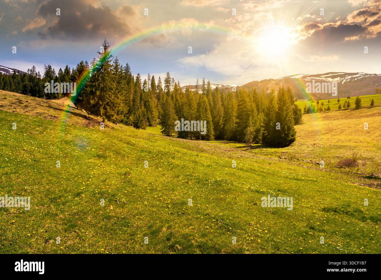meadow and forest in mountain landscape at sunset. snow capped ridge in the distance in evening light. wonderful spring countryside with clouds on sky Stock Photo