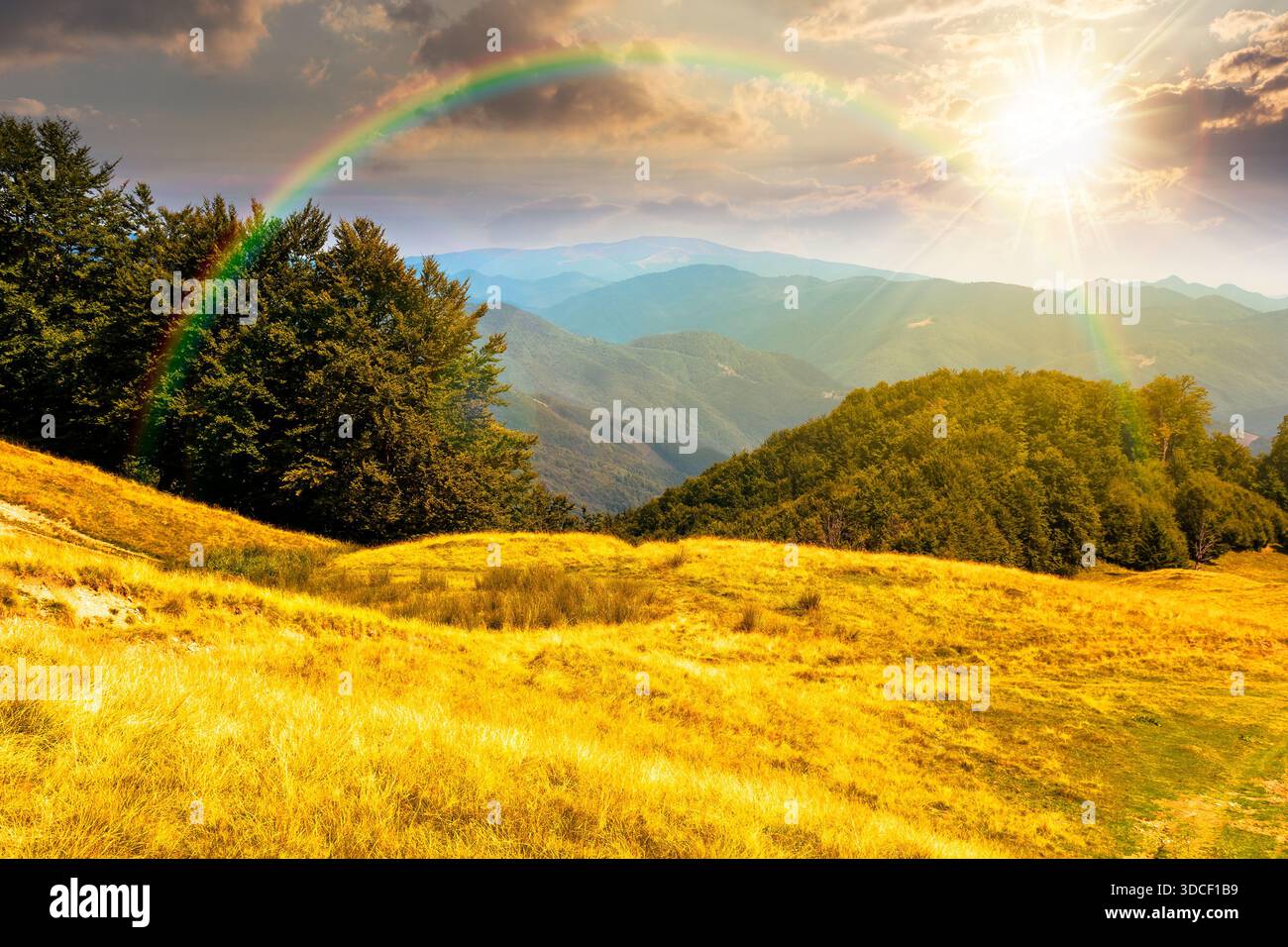 beautiful mountain landscape with beech trees on rolling hills at sunset. wonderful view of alpine countryside scenery in evening light. timeless outd Stock Photo